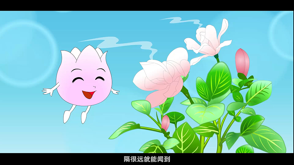 上海市環(huán)境學校 白玉蘭