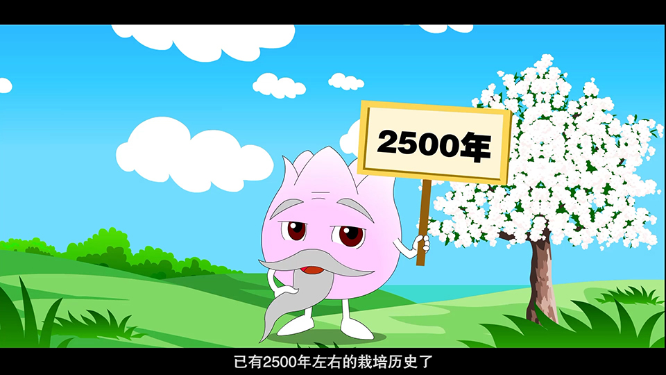 上海市環(huán)境學校 白玉蘭