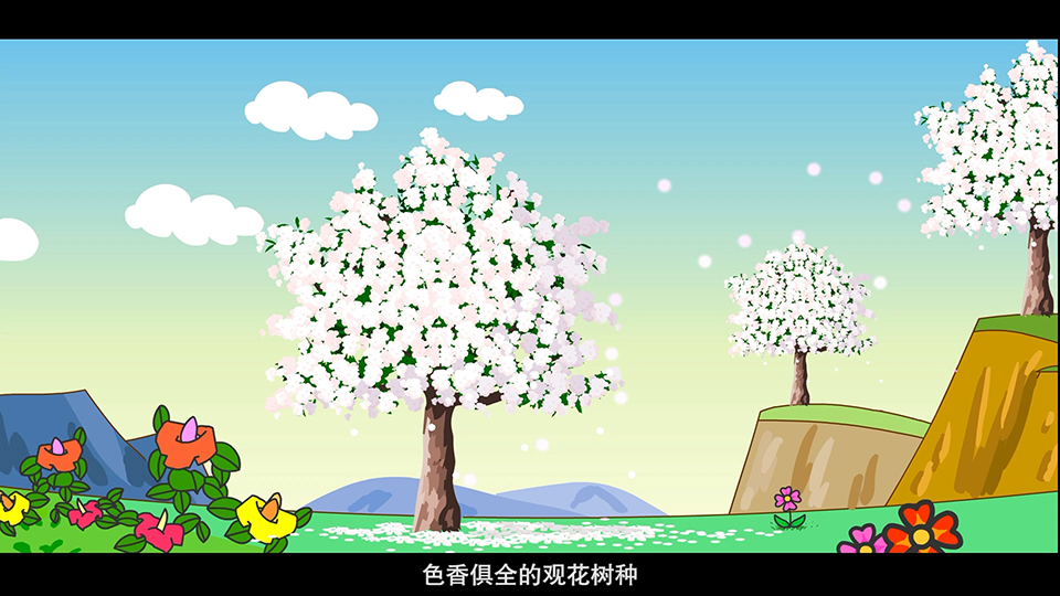 上海市環(huán)境學校 白玉蘭