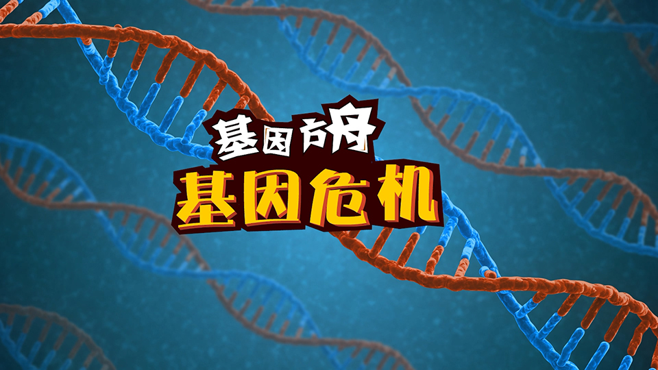 基因方舟 系列二維動(dòng)畫(huà)微課之《基因危機(jī)》