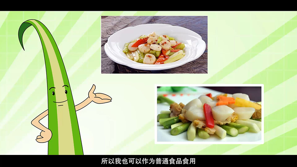 上海市環(huán)境學校 玉帶草