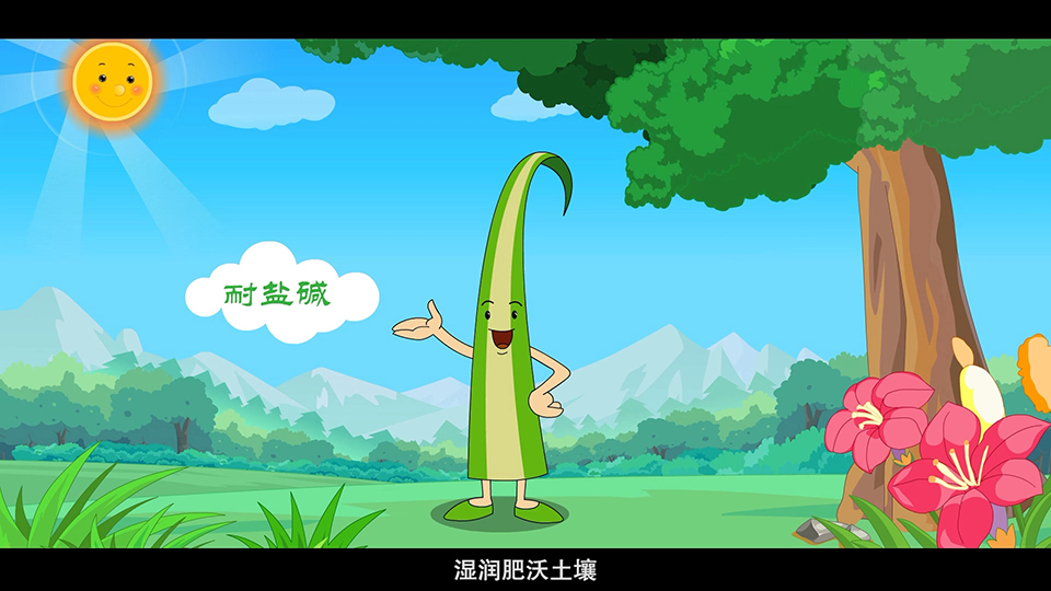 上海市環(huán)境學校 玉帶草