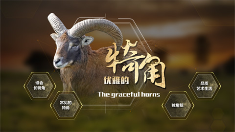 觸摸屏透明屏軟件制作開發(fā)